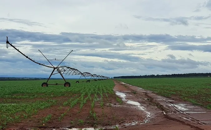 Aprovado R$ 227 milhões do FCO para projetos de avicultura, irrigação e correção do solo
