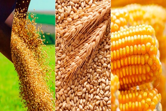 Queda no preço dos grãos dita resultados de agroindústrias