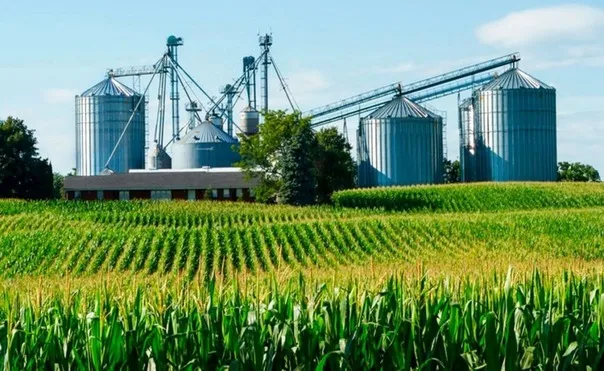 Industrialização é fundamental para agregar valor ao agro