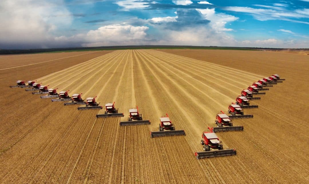 Crédito rural: desembolsos do Plano Safra têm queda de quase 24%