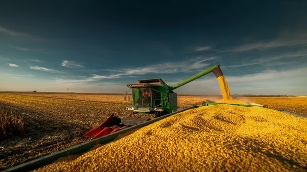Produção de grãos deve atingir recorde de 322,53 milhões de toneladas