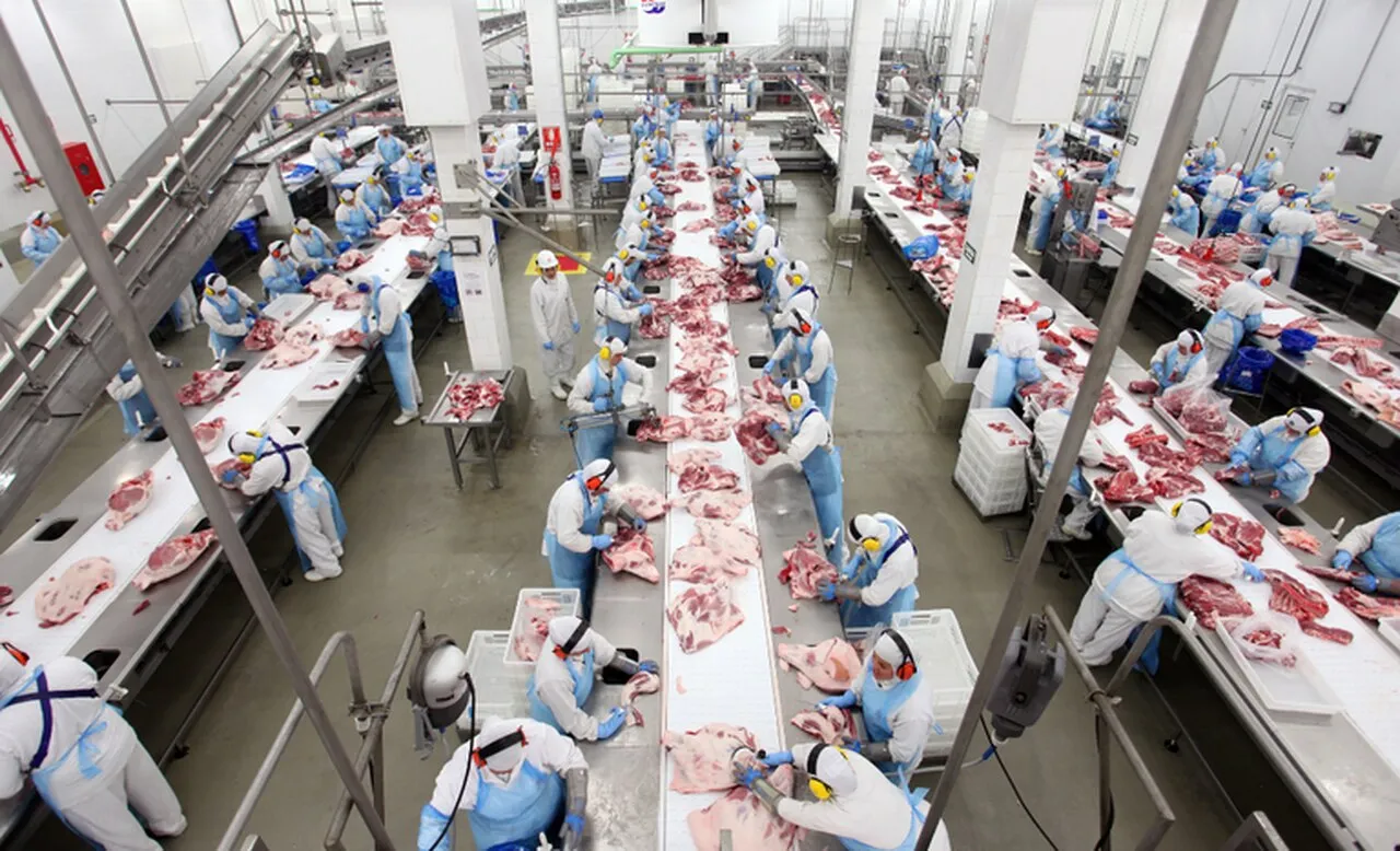 Mapa habilita 9 novos frigoríficos para exportação de carnes