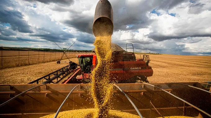 Conab revisa para cima recorde da safra de grãos 2024/25 para 325,7 milhões de toneladas