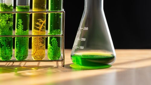 Brasil vai ultrapassar R$ 1 tri em recursos para biocombustíveis