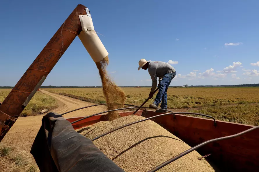 Ministério da Agricultura desiste da compra de arroz importado