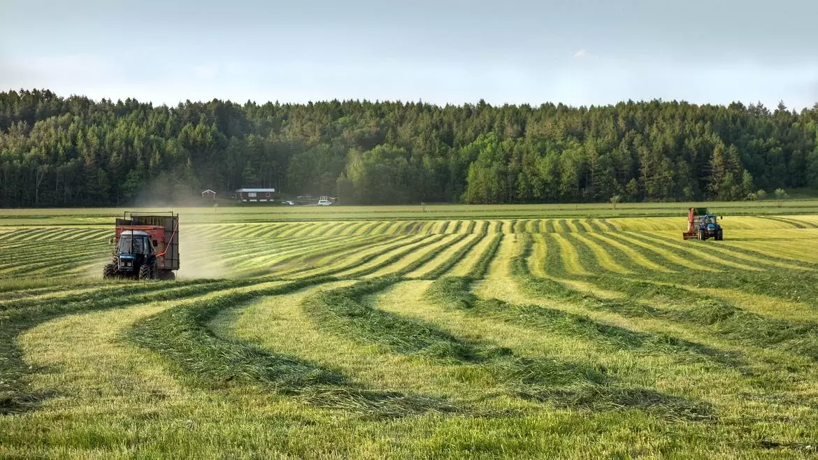 Comissão aprova suspensão de decreto que muda regulamentação da reforma agrária
