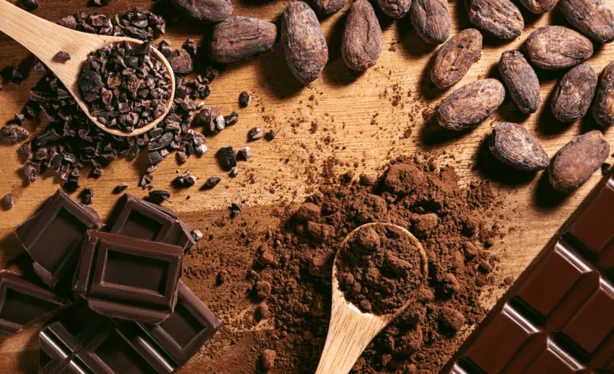 Chocolates finos de aroma têm incentivo para sua produção
