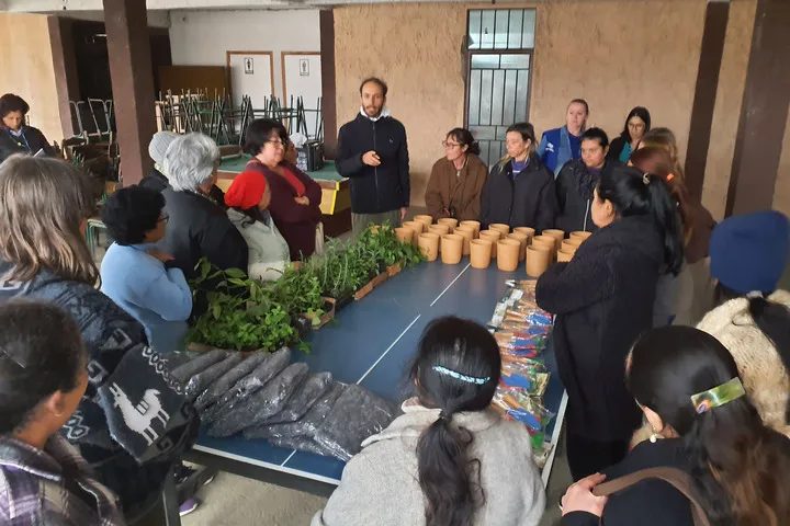 Sanepar oferta cursos sobre plantas alimentícias não convencionais e medicinais