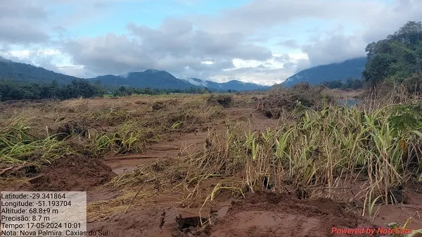 Manejo de solos deve ser foco para recuperação agropecuária