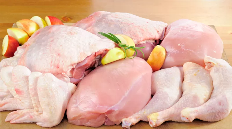 Newcastle não impacta na segurança do consumo de carne de frango e ovos