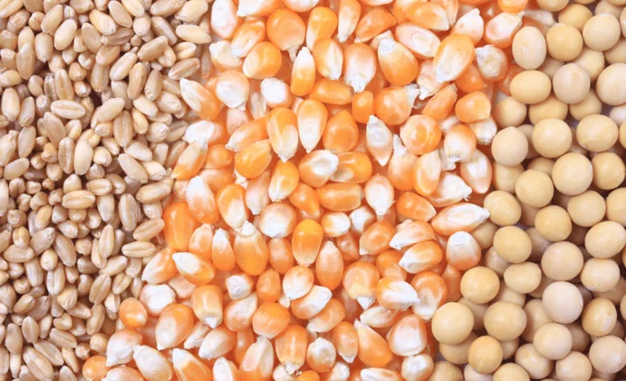 Confira os preços mínimos para os produtos de verão e regionais