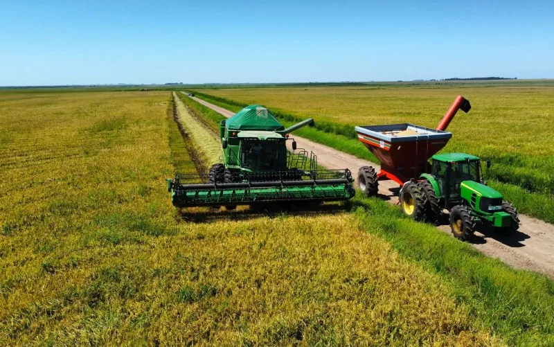 Fenarroz destaca a reconstrução do agronegócio em mais uma edição da feira