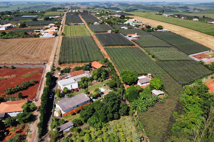 Instituto devolve, para cada R$ 1 investido, mais de R$ 7 para a sociedade