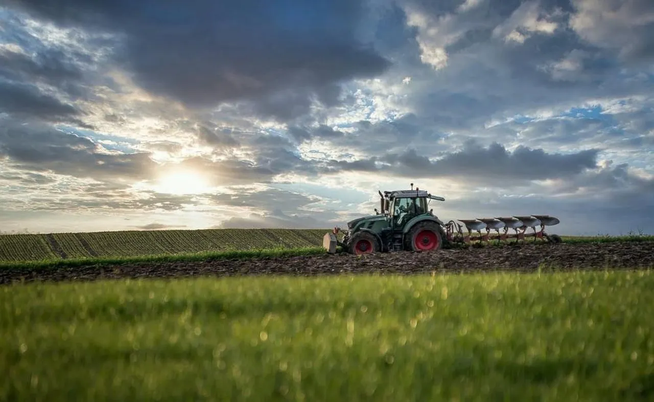 Estudo estima ganho de R$ 4 bilhões anuais com vegetação ao redor de cultivos