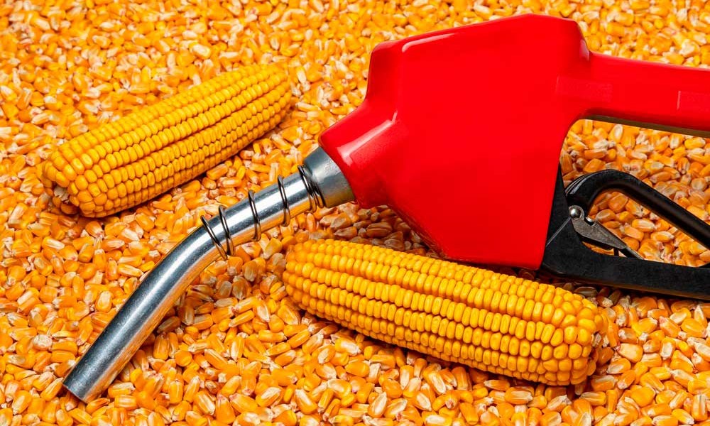 Etanol de milho não afetou preços do grão nos mercado doméstico e internacional