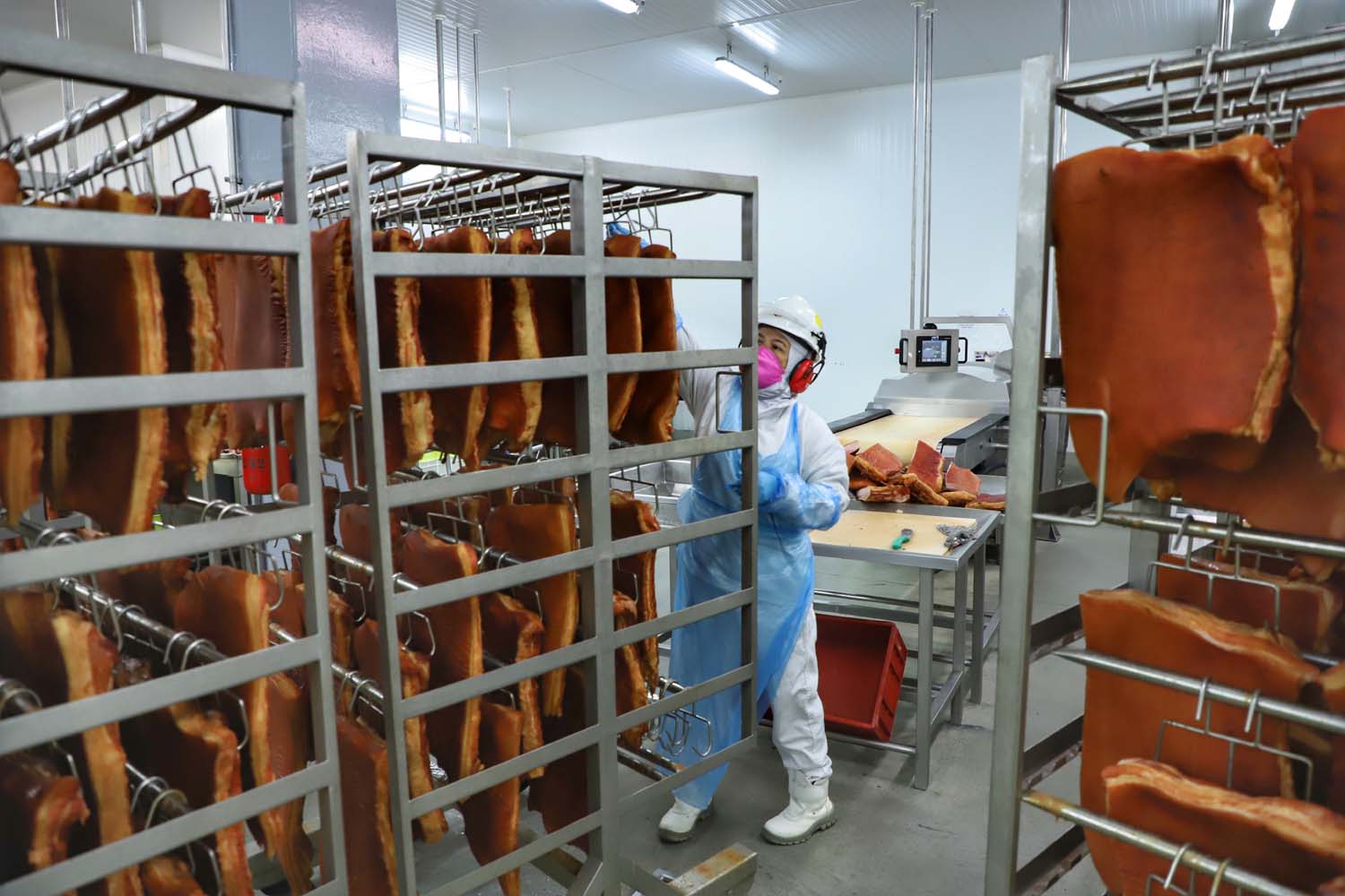 Com 70,4 toneladas, Paraná foi recordista na exportação de bacon em 2023