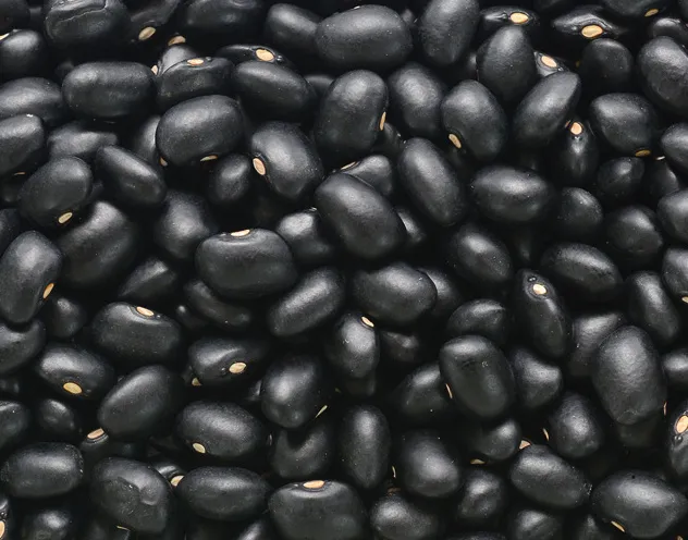 Novo indicador de preço traz transparência para a cadeia do feijão