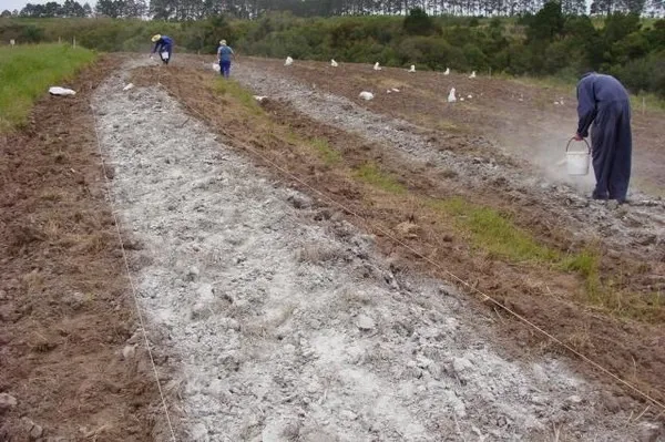 Projeto utiliza rejeitos de mineração como insumos para fortalecer a agricultura