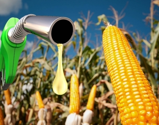 Expansão do Etanol de Milho Impulsiona Produção de Biocombustível no Brasil