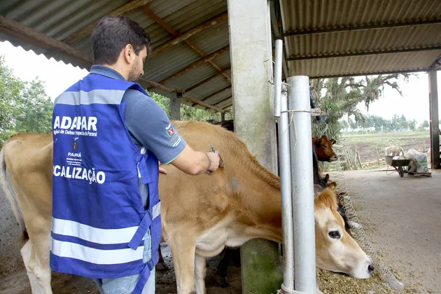 Veterinários devem se recadastrar para atuar contra brucelose e tuberculose