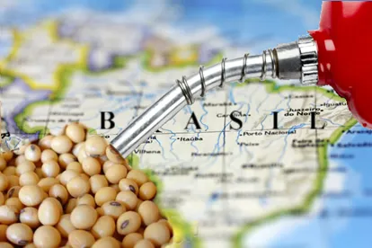 Nova lei deve disparar demanda por soja e dobrar produção de biodiesel no Brasil, diz Abiove