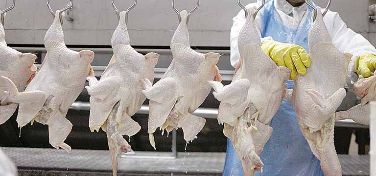 Frango continua mais barato que há dois anos. Na granja, no atacado e no varejo; e ainda aquém da inflação