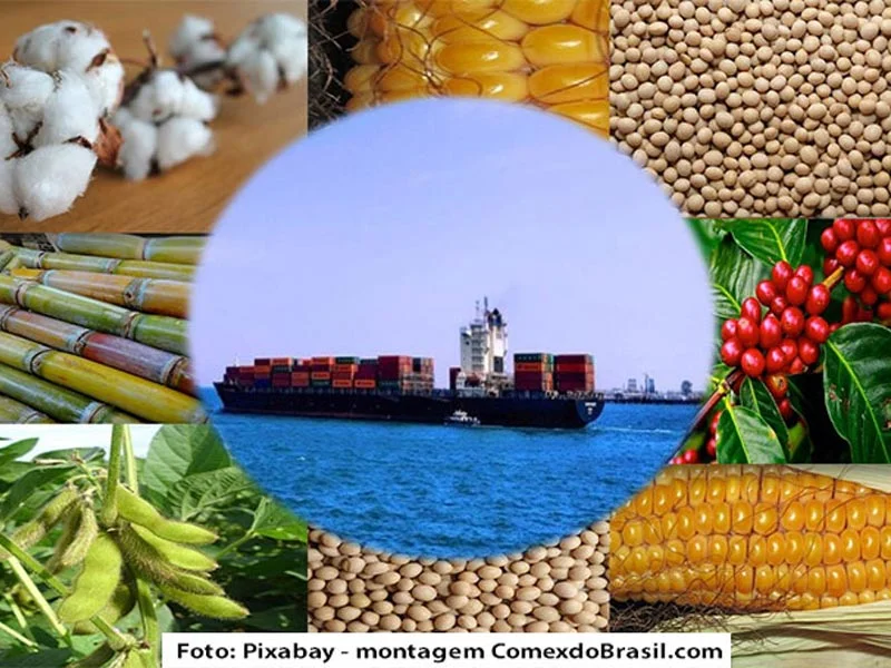 Exportações do agro brasileiro alcançaram quase US$ 14,2 bi em setembro