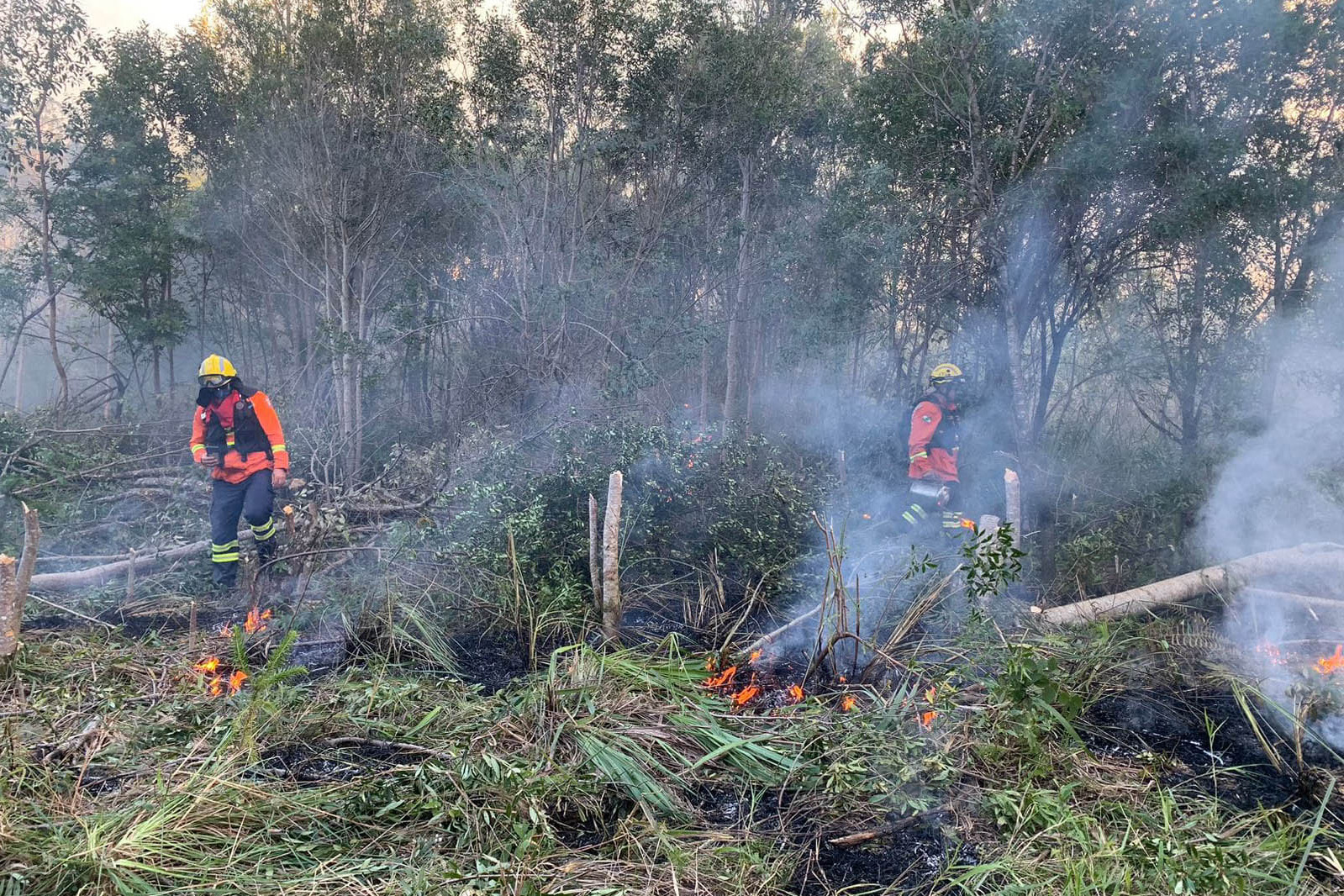 Operação de combate a incêndios florestais termina com o dobro de ocorrências de 2023