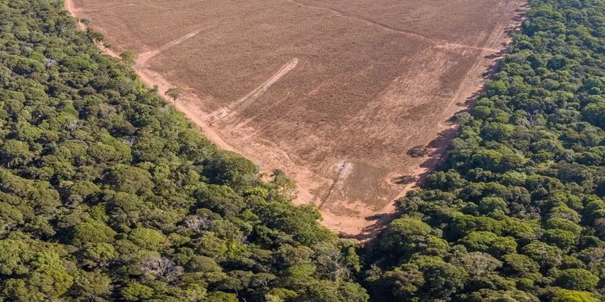 Cartilha orienta produtores rurais com imóveis em faixa de fronteira