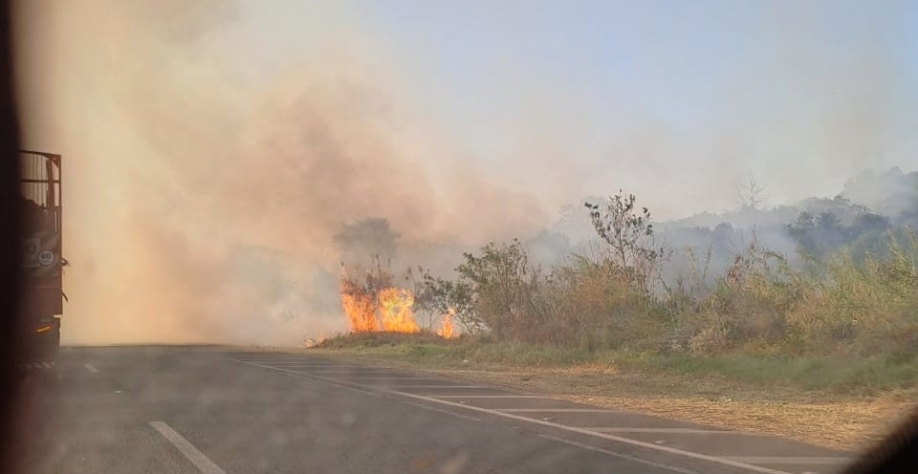Produtoras e produtores rurais querem retirar o mato nas margens das rodovias para inibir os incêndios