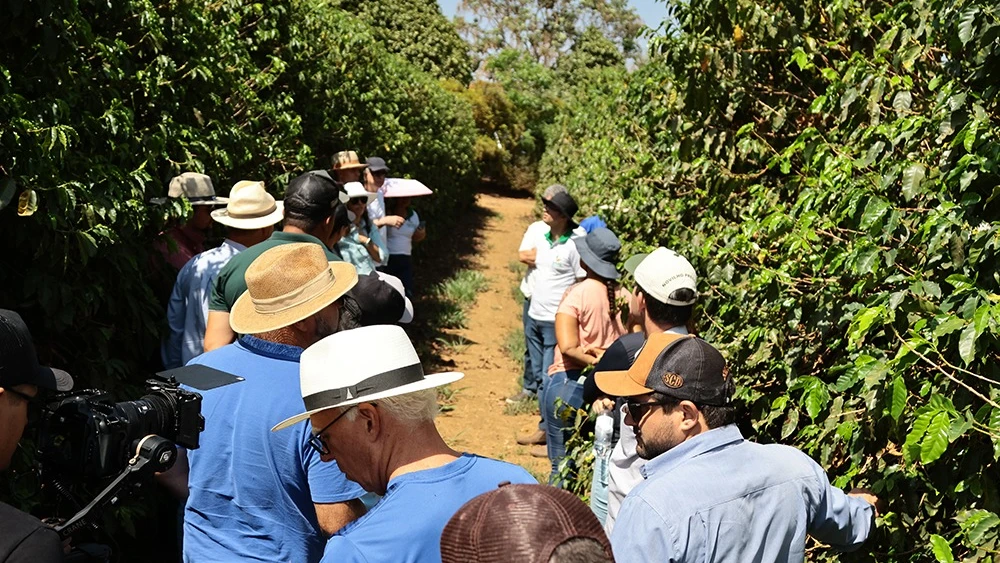 BDMG oferece curso gratuito e crédito para quem quiser investir em agricultura regenerativa