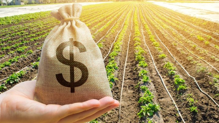 Lucro líquido da BrasilAgro cresce 225% no 1º trimestre do ano agrícola 2024/25