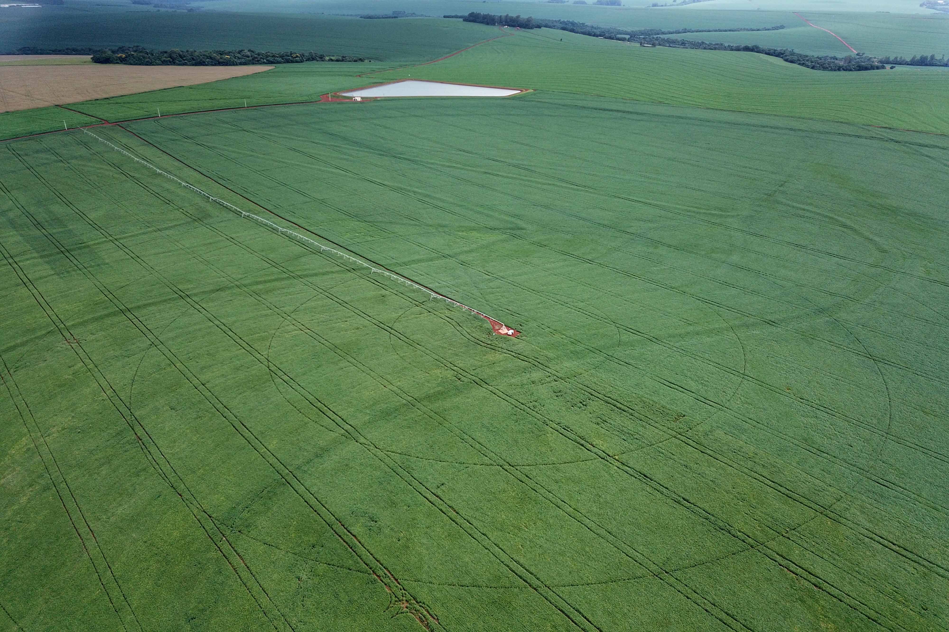 Plano Safra nacional terá R$ 475,5 bilhões; agricultura familiar fica com R$ 76 bilhões