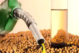 Produção de biodiesel atingirá 10 bilhões de litros em 2025