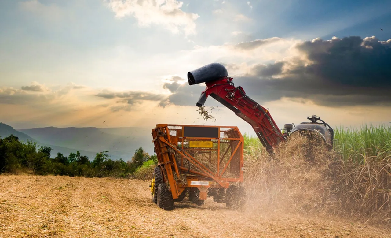 Exportações do agronegócio brasileiro atingem US$ 15,20 bi em junho