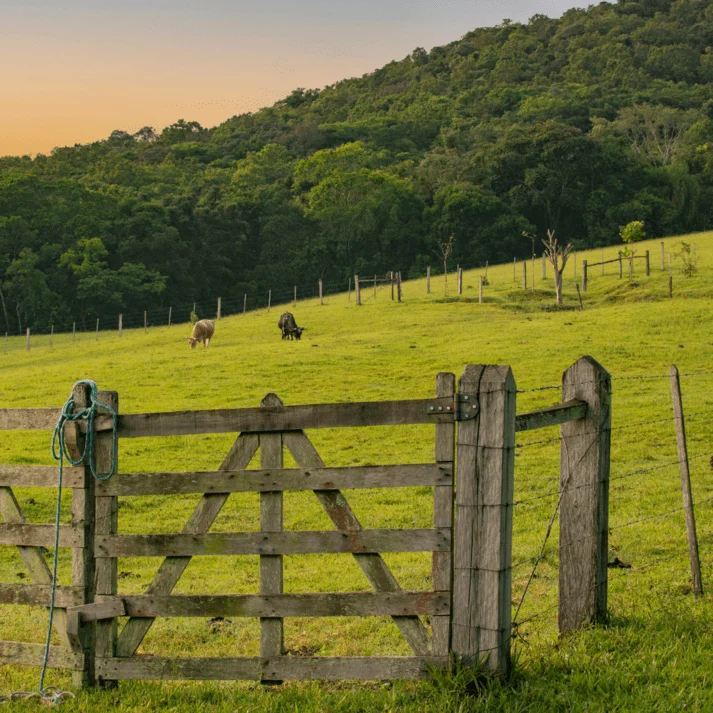 Governo anuncia aporte de R$ 600 milhões para garantir crédito rural