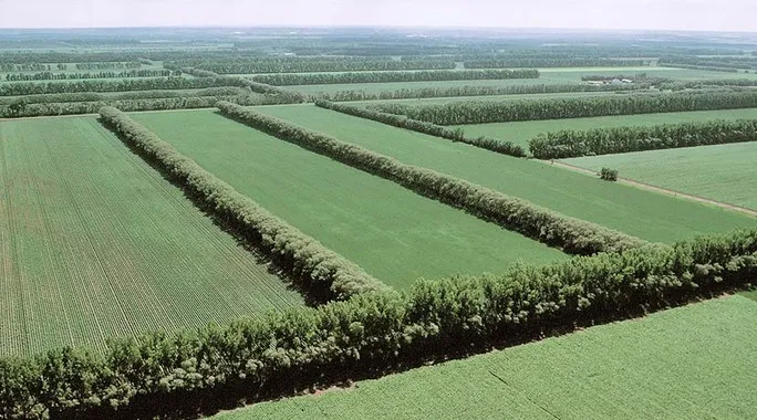 Lideranças defendem financiamento climático e valorização de práticas sustentáveis