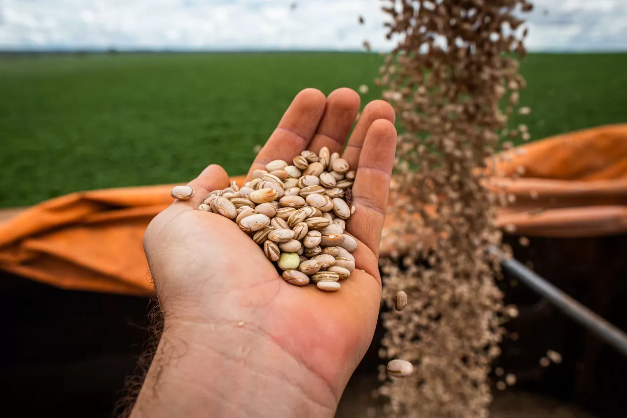Reunião ministerial do G20 atrai líderes para discutir segurança alimentar e adaptação às mudanças climáticas