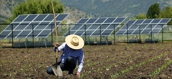 Energia renovável: proposta favorece produção por agricultores familiares