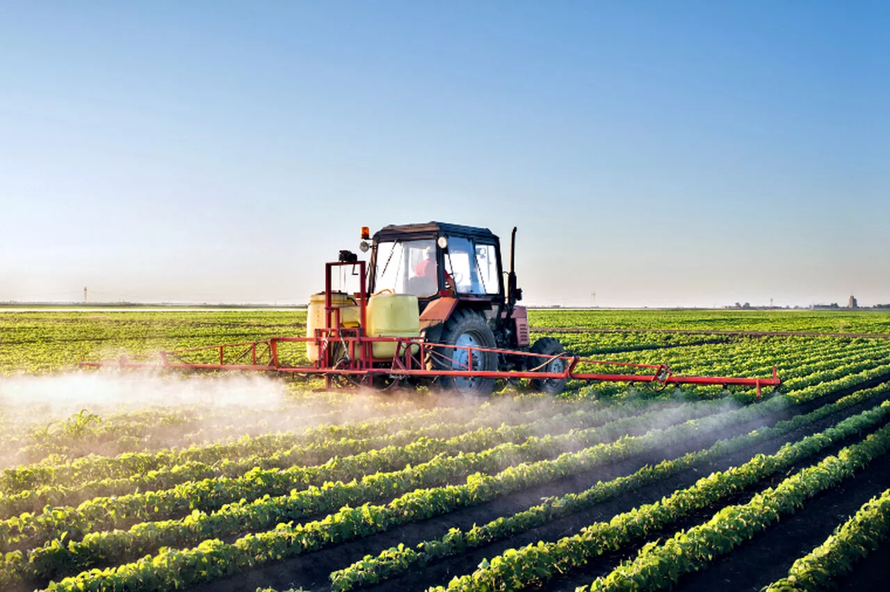 Fábrica de fertilizantes nitrogenados terá investimento de R$ 3 bilhões