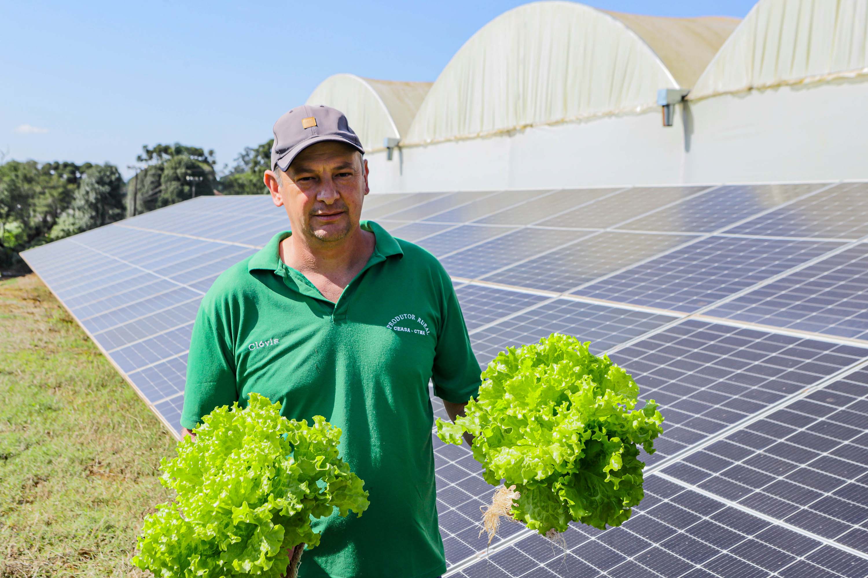 Transformação energética nos hidropônicos: energia solar reduz conta de produtor em 85%