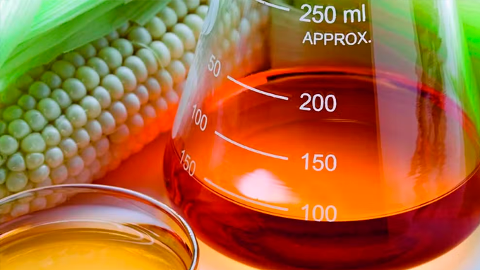 Setor agrícola dos EUA busca espaço em biocombustíveis e ameaça compras de sebo do Brasil