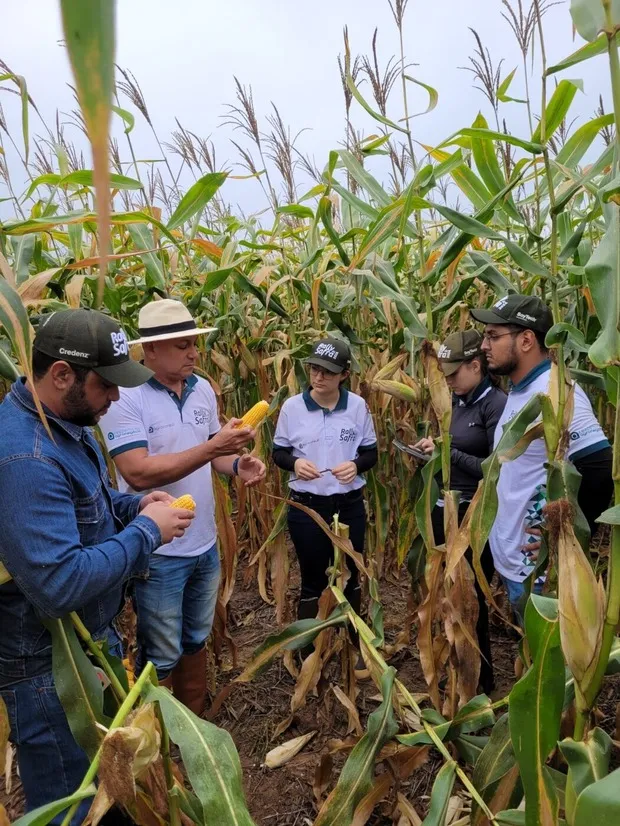 Prejudicadas por estiagem, lavouras do Oeste paranaense recebem expedição técnica