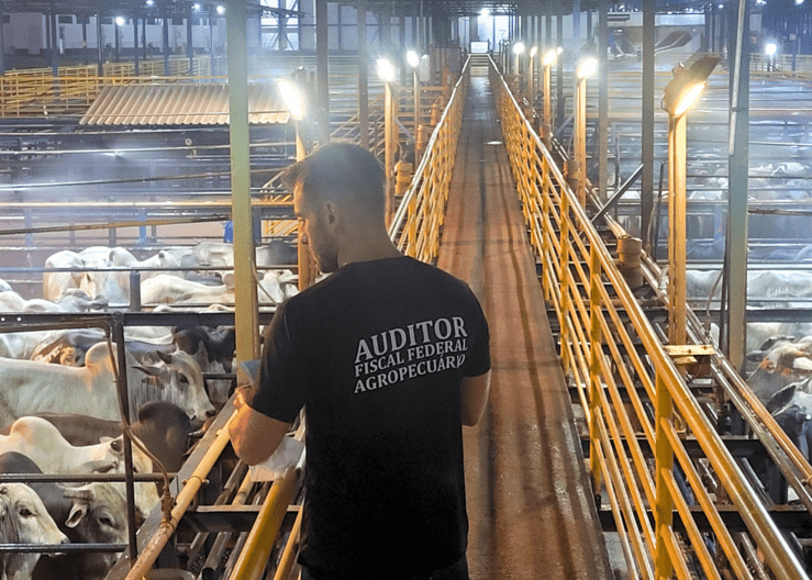 Justiça suspende norma que reduz prazo de liberação de certificados sanitários à exportaçã
