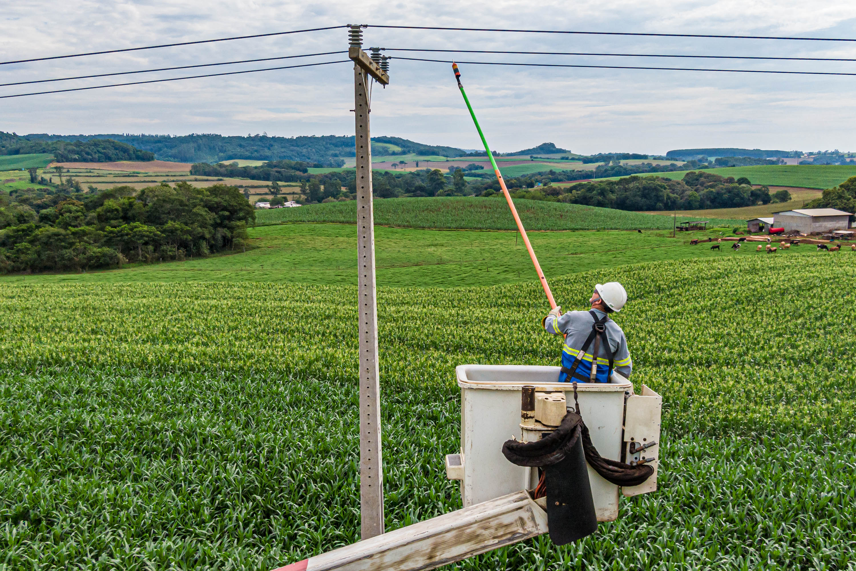 Do Clic Rural ao Paraná Trifásico, programas da Copel impulsionam desenvolvimento no campo