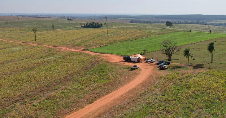 Invasões de terra colocam em risco patrimônio sanitário do PR