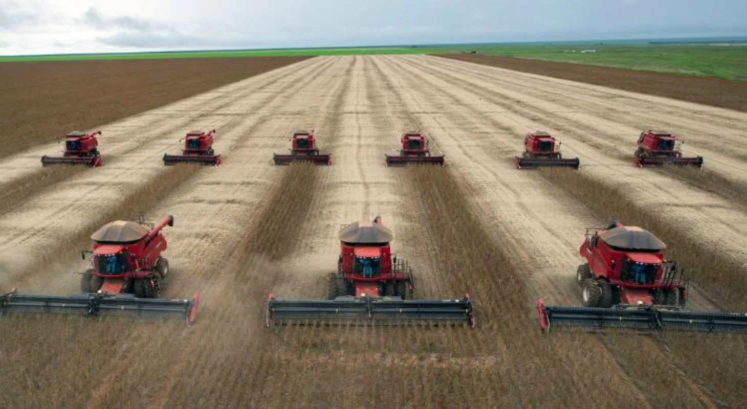 Brasil caminha para safra recorde em 2024/25 e desafia mercado global