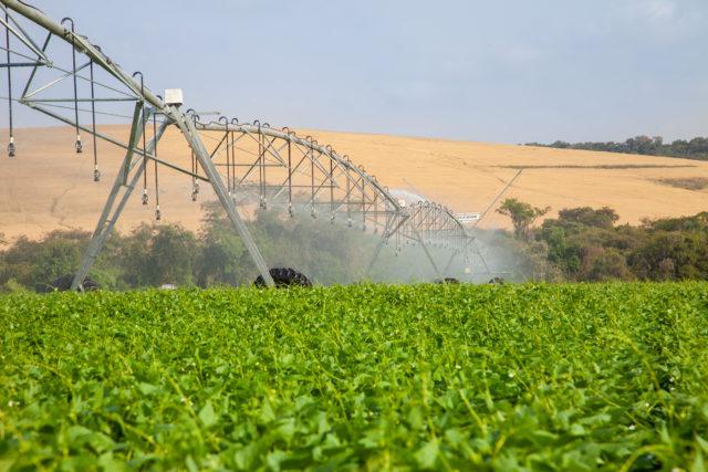 Irriga Paraná: Conheça as condições de acesso ao benefício