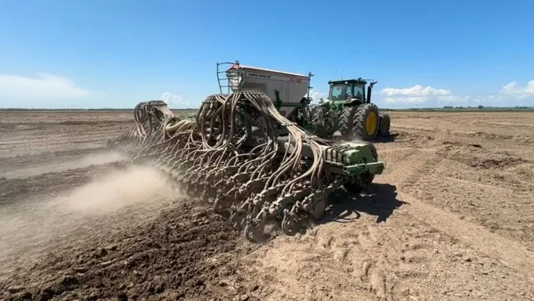 Dias de sol garantem evolução da semeadura do arroz