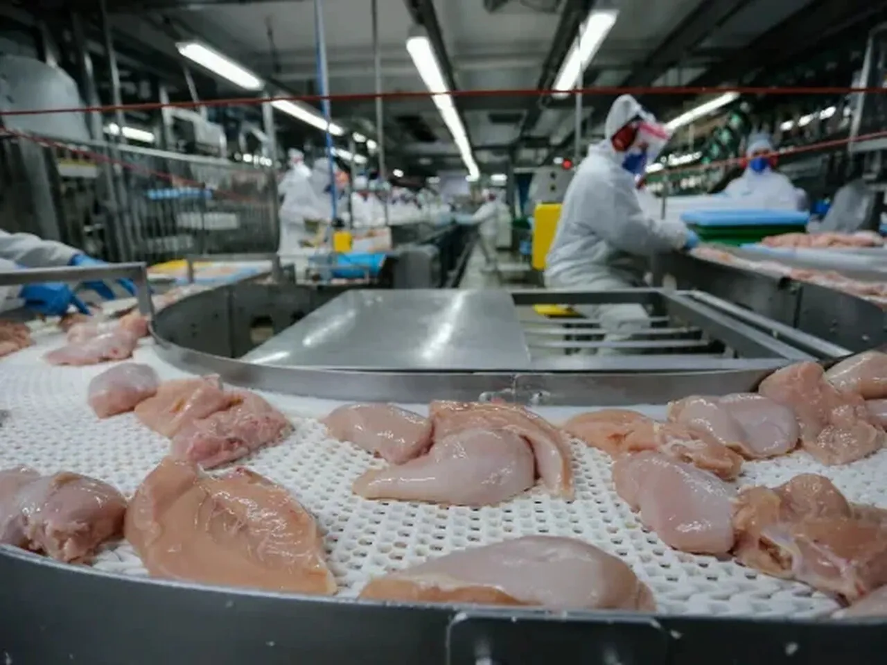 China retoma compra carne de frango do Brasil; estabelecimentos do RS continuam suspensos